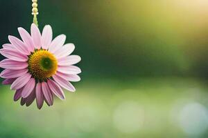 a pink daisy hanging from a string. AI-Generated photo