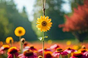 foto fondo de pantalla el sol, flores, naturaleza, el campo, el girasol, el campo,. generado por ai