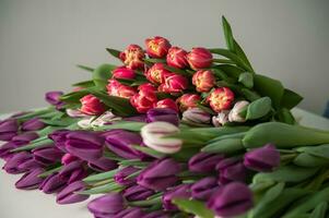 un grande número de tulipanes de diferente colores mentira en el cocina mesa. foto