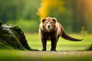 a brown bear walking on a path in the forest. AI-Generated photo