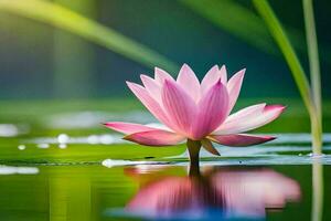 a pink lotus flower in the water. AI-Generated photo