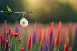 un soltero flor es colgando desde un rama en un campo. generado por ai foto