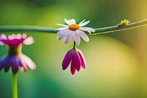 two pink flowers are on a branch with a green background. AI-Generated photo