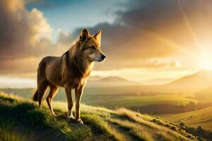 the wolf is a wild animal that is native to the united states and canada. AI-Generated photo