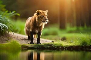 un león en pie en el borde de un estanque en el bosque. generado por ai foto