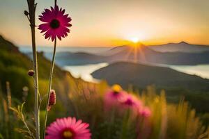 pink flowers in the foreground of a sunset. AI-Generated photo