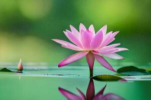 a pink lotus flower is floating in the water. AI-Generated photo