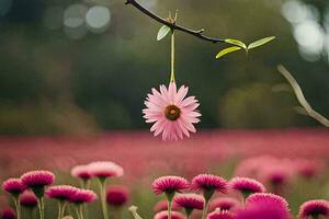 a pink flower hanging from a branch in a field. AI-Generated photo