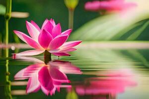 pink lotus flower in water with green leaves. AI-Generated photo