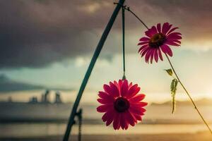 two pink flowers hanging from a hook on the beach. AI-Generated photo