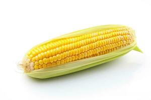 Fresh corn on the cob on a white background. AI generated photo