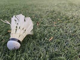 Shuttlecock on the grass in the afternoon. closeup of an object photo