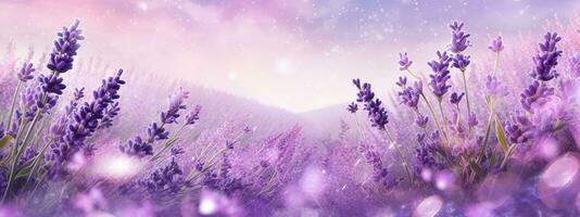 A banner design showcasing a field of lavender in full bloom, with soft purple hues and delicate petals, creating a soothing and aromatic atmosphere. Generative AI photo