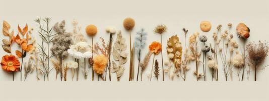 A banner featuring a collection of dried flowers arranged in a minimalist, graphic design, with simple shapes and bold, contrasting colors that make a statement. Generative AI photo