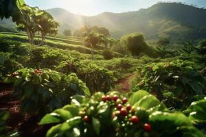 rústico café plantación escena, exhibiendo filas de lozano, verde café plantas, con maduro, rojo café cerezas Listo para cosecha. generativo ai foto