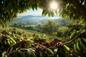 rústico café plantación escena, exhibiendo filas de lozano, verde café plantas, con maduro, rojo café cerezas Listo para cosecha. generativo ai foto