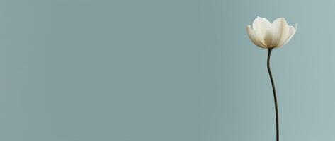 A modern and minimalistic banner featuring a single stem of a flower, with clean lines and bold colors, highlighting the elegance and simplicity of nature. Generative AI photo