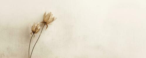 A minimalist banner featuring a single dried flower, with a neutral background that emphasizes the texture and natural beauty of the plant. Generative AI photo