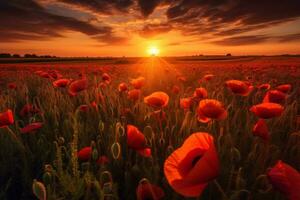 An image of a stunning sunset over a field of poppies, creating a warm and serene atmosphere. Generative AI photo