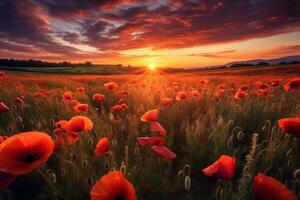 An image of a stunning sunset over a field of poppies, creating a warm and serene atmosphere. Generative AI photo