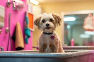 Dog being washed and groomed in a fashionable salon setting, reflecting the concept of grooming as a form of self-care for pets. Generative Ai photo