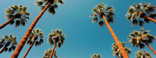 Palm trees against blue sky banner. Generative AI photo