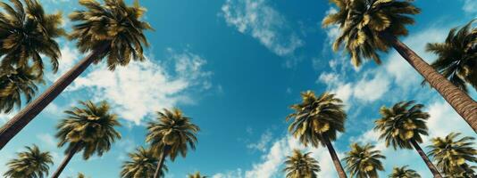 Palm trees against blue sky banner. Generative AI photo