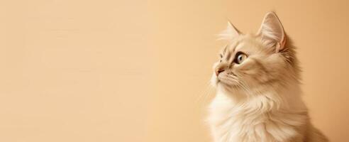 Cat in soft beige background banner with copy space. Generative AI photo