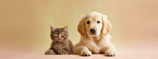 Cat and Dog in soft beige background banner with copy space. Generative AI photo