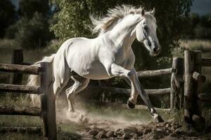 A Hungarian Andalusian horse gracefully leaping over a fence or stream. Capture the romantic, metaphorical symbolism of the Hungarian horse in culture, history and folklore. Generative AI photo