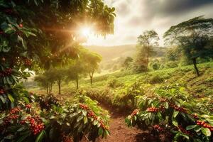 un encantador, rústico café plantación, exhibiendo filas de lozano, verde café plantas, con maduro, rojo café cerezas Listo para cosecha, iluminado por el sol paisaje. generativo ai foto