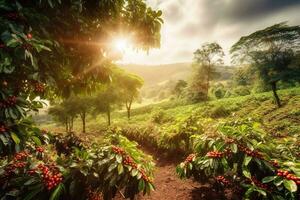 A charming, rustic coffee plantation, showcasing rows of lush, green coffee plants, with ripe, red coffee cherries ready for harvest, sunlit landscape. Generative AI photo