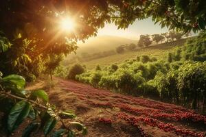 A charming, rustic coffee plantation, showcasing rows of lush, green coffee plants, with ripe, red coffee cherries ready for harvest, sunlit landscape. Generative AI photo