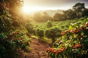 un encantador, rústico café plantación, exhibiendo filas de lozano, verde café plantas, con maduro, rojo café cerezas Listo para cosecha, iluminado por el sol paisaje. generativo ai foto