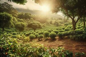 A charming, rustic coffee plantation, showcasing rows of lush, green coffee plants, with ripe, red coffee cherries ready for harvest, sunlit landscape. Generative AI photo