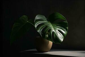 A monstera plant displayed in a vase with a sense of natural and organic decor. Generative AI photo