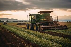 Capturing the process of harvesting vegetables with the help of machinery, set against a backdrop of neatly organized rows of crops on a picturesque farm. Generative AI photo