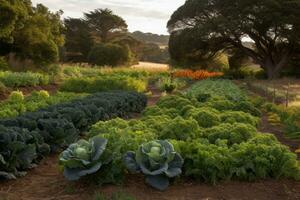 Farmscape showing rows of organic crops broccoli, kale, tomatoes, berries, etc. ready for harvest. Sustainably-grown produce. Generative AI photo