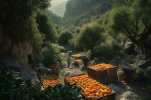Orange and lemon picking along a mountainside road, workers filling crates with fruit fallen onto tarpaulins under trees heavy. The verdant groves are punctuated with rocky cliffs. Generative AI photo