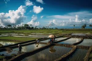 Rice paddies extending to the horizon under a brilliant blue sky. Local farmers in traditional attire transplanting seedlings under the hot sun. Generative AI photo