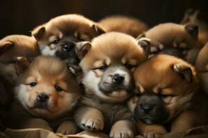 A pile of adorable Akita puppies cuddled together, perfect for showcasing the breed's charm. Generative Ai photo