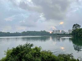 nature trial landscape for run and activity in Morning panorama of lake in the Lake District in Singapore reservoir photo