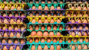 local mercado Fresco huevos sano y nutritivo granja producir, huevo antecedentes foto