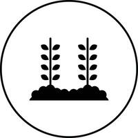 trigo plantación vector icono