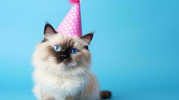 linda gato con cono sombrero y collar corbata de moño en aislado fondo.feliz cumpleaños concepto.creado con generativo ai tecnología foto