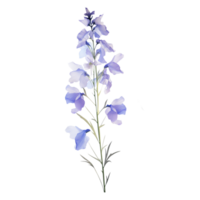 Wild flower watercolor on isolated background.Created with Generative AI technology. png