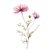 Wild flower watercolor on isolated background.Created with Generative AI technology. png