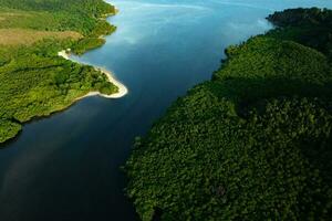 Beautiful view of Mangrove beach from drone view photo