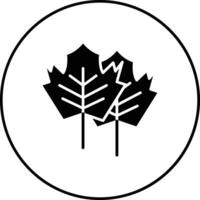 Maple Leaf Vector Icon