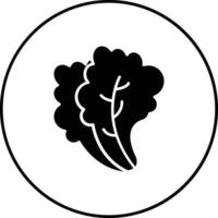 Lettuce Vector Icon